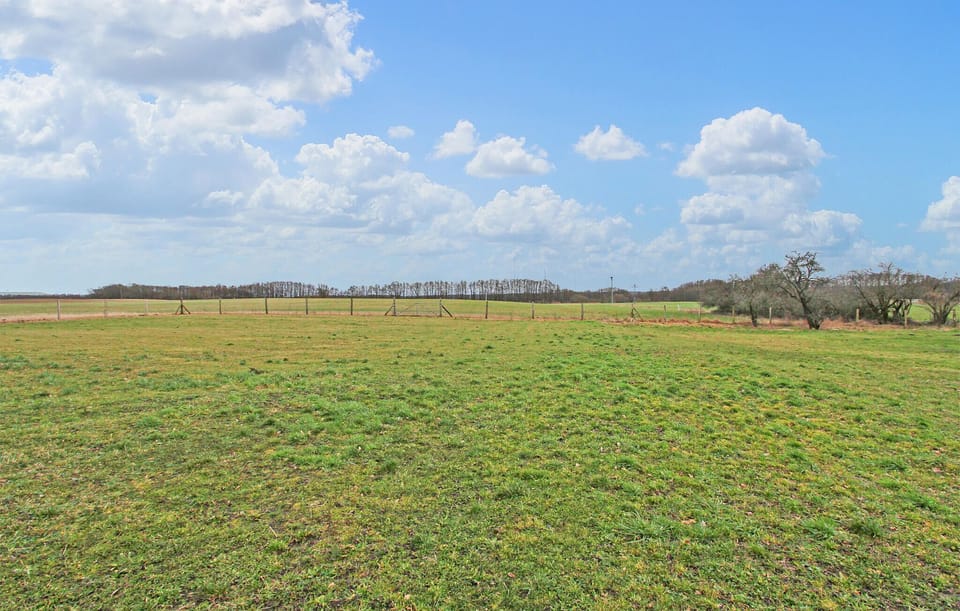 area