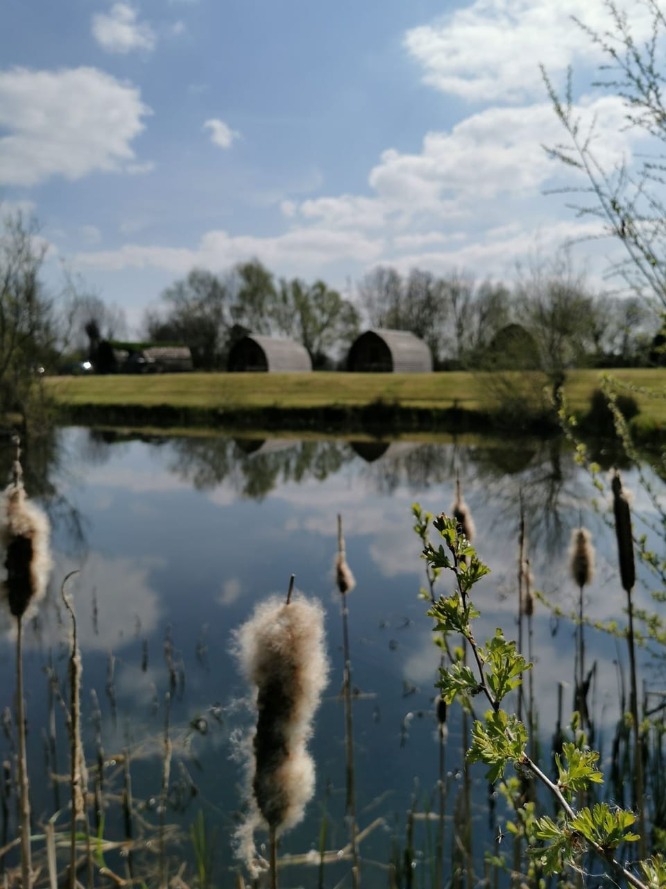 Glamping pods overlooking our fishing lake