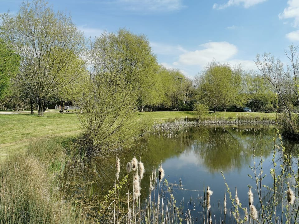 Fishing lake stocked with bream, carp and roach