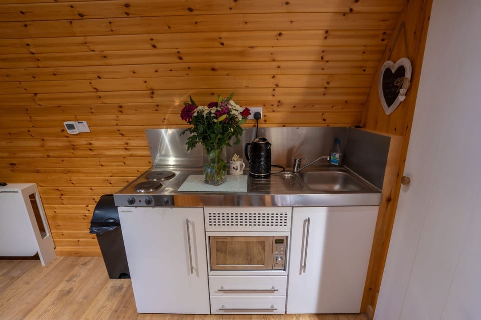 Kitchenette, fridge with freezer compartment, hob, kettle, microwave and toaster