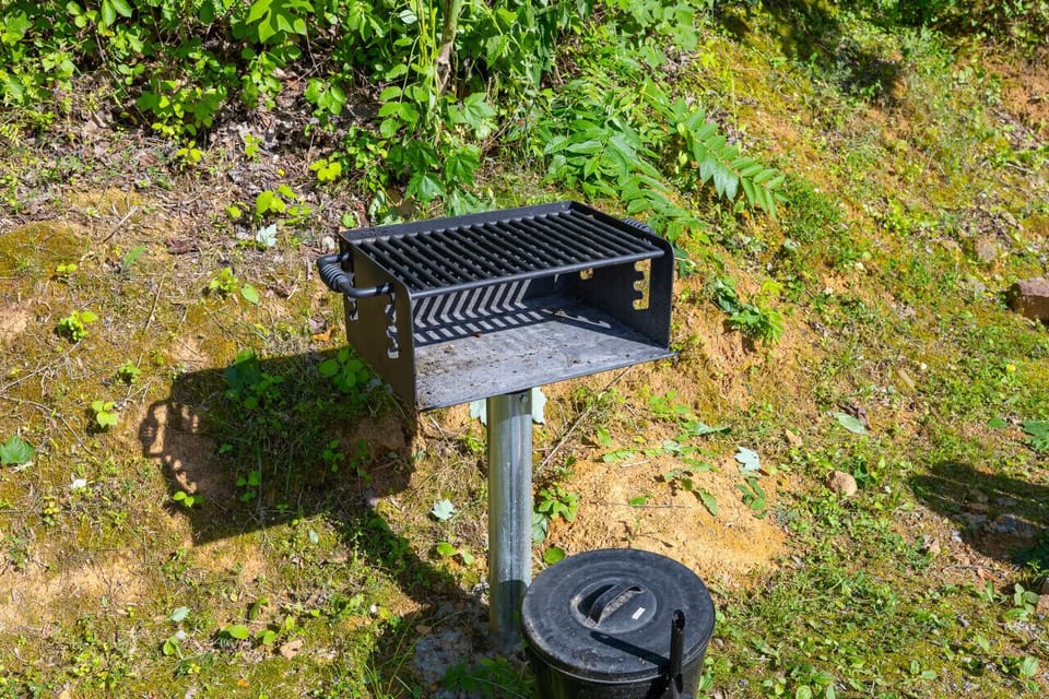 Charcoal grill