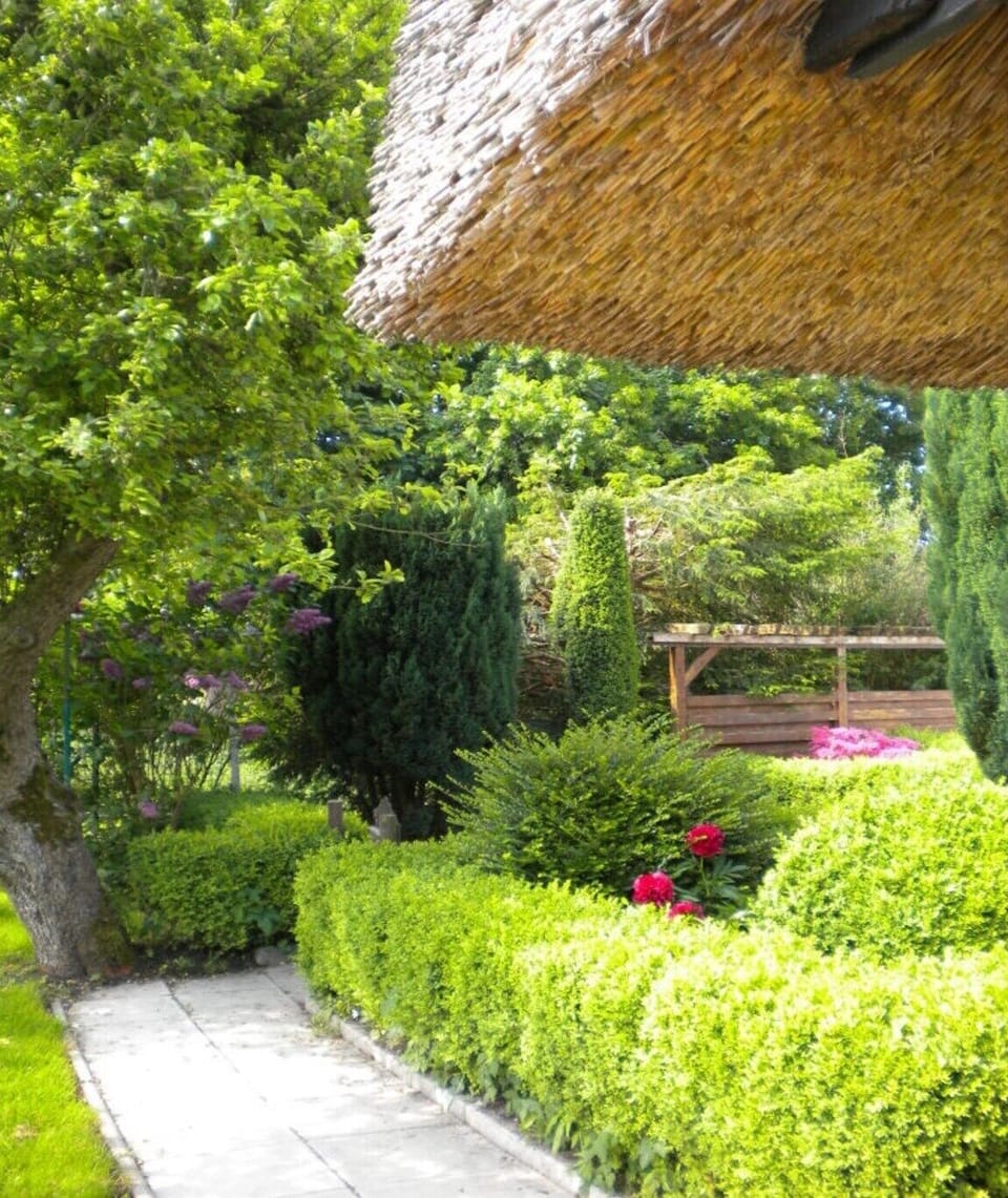 Garden [summer]