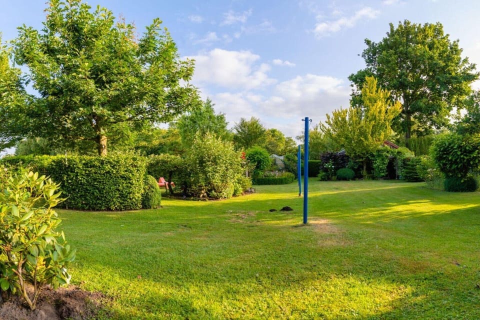 Garden [summer]
