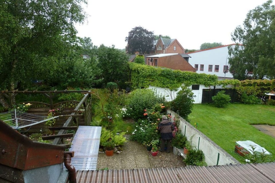 Garden [summer]