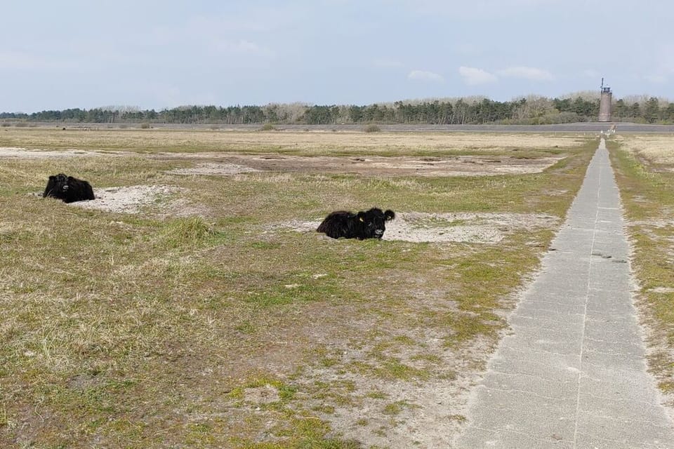 Surroundings [summer] (1-5 km)