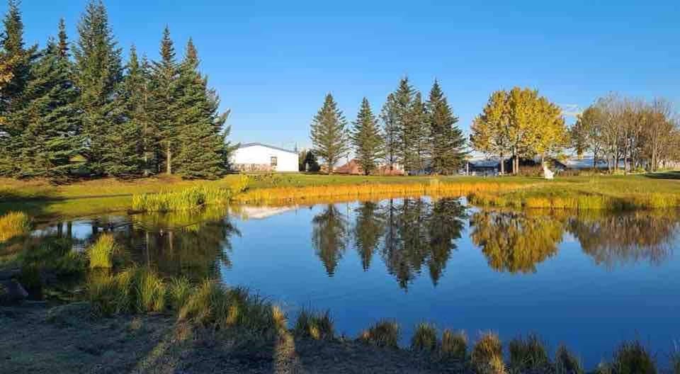 House | Property grounds