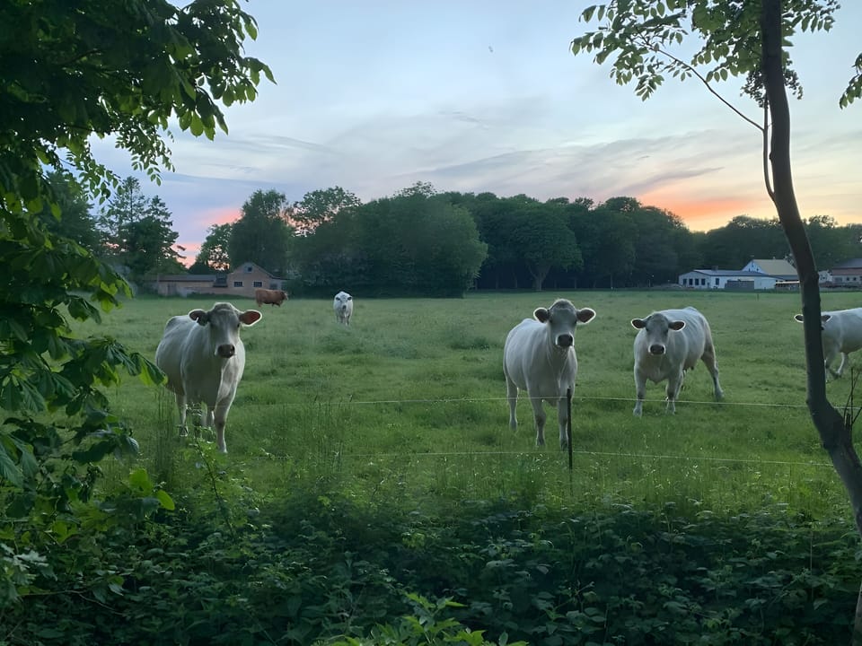 Land view from property