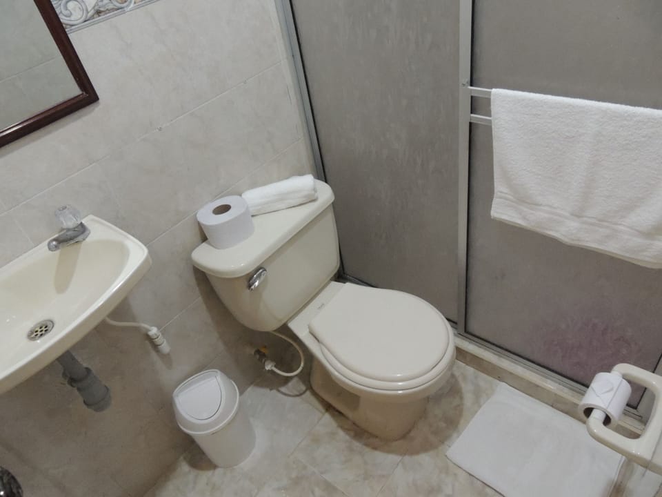 Shower, towels