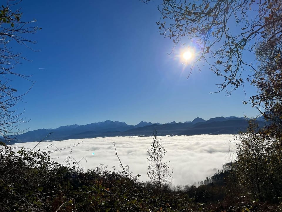 Mountain view