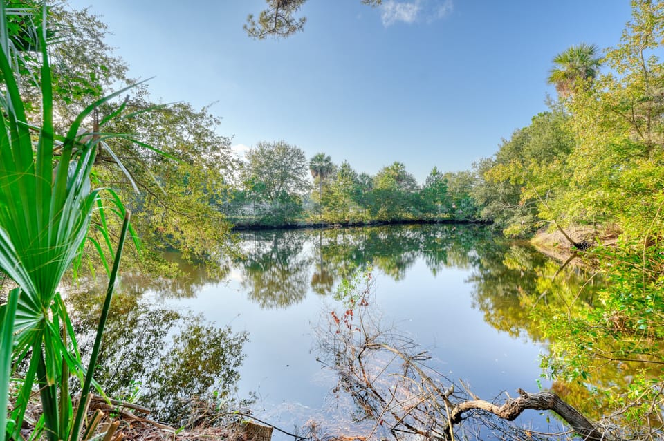 Wildlife thrives in your backyard! Large natural lagoon, a bird watchers dream!