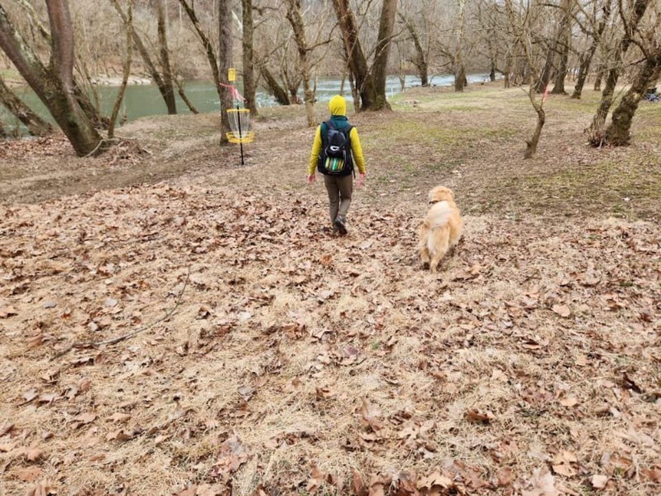 Pet-friendly