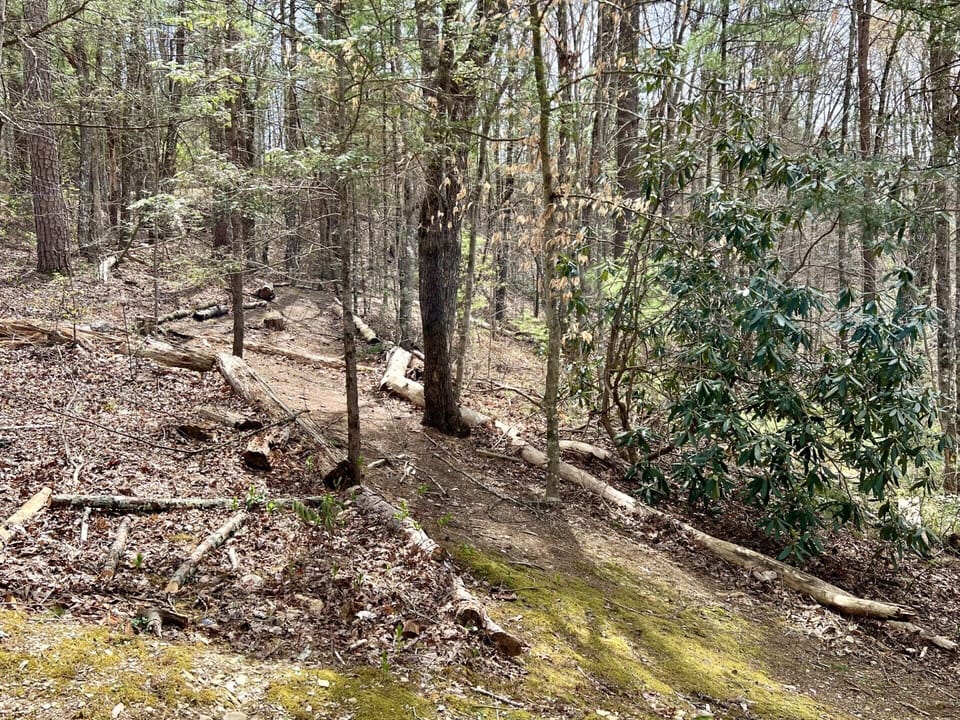 Your own personal walking trail