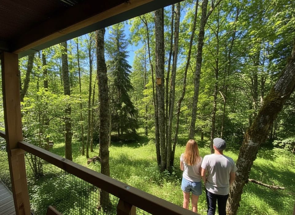 Vue depuis la terrasse couverte HY•Lødge Spa 6 personnes