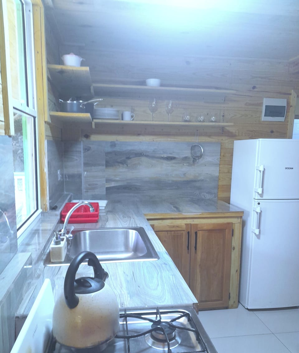 Basic Cabin, 2 Bedrooms, Refrigerator | Private kitchenette | Fridge, oven, dining tables