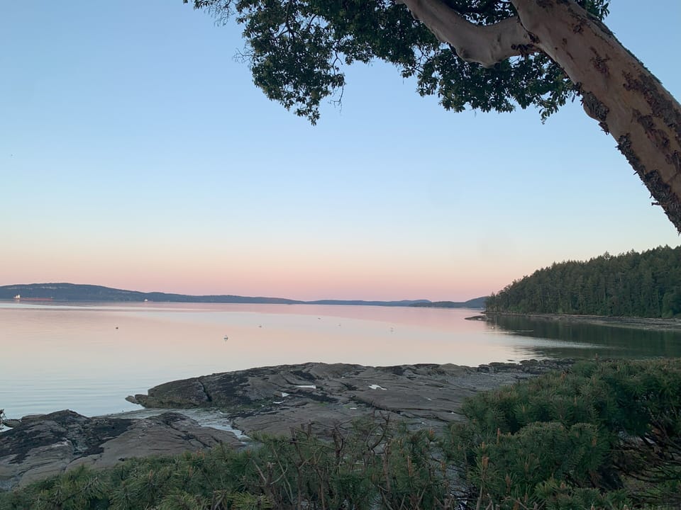 Savour the stillness...