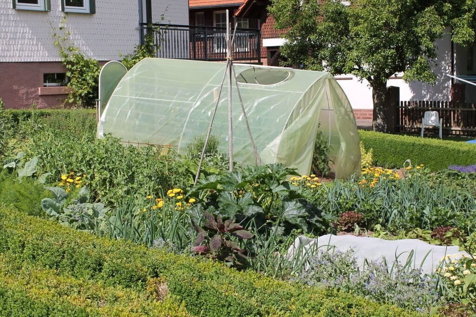 Garden [summer]