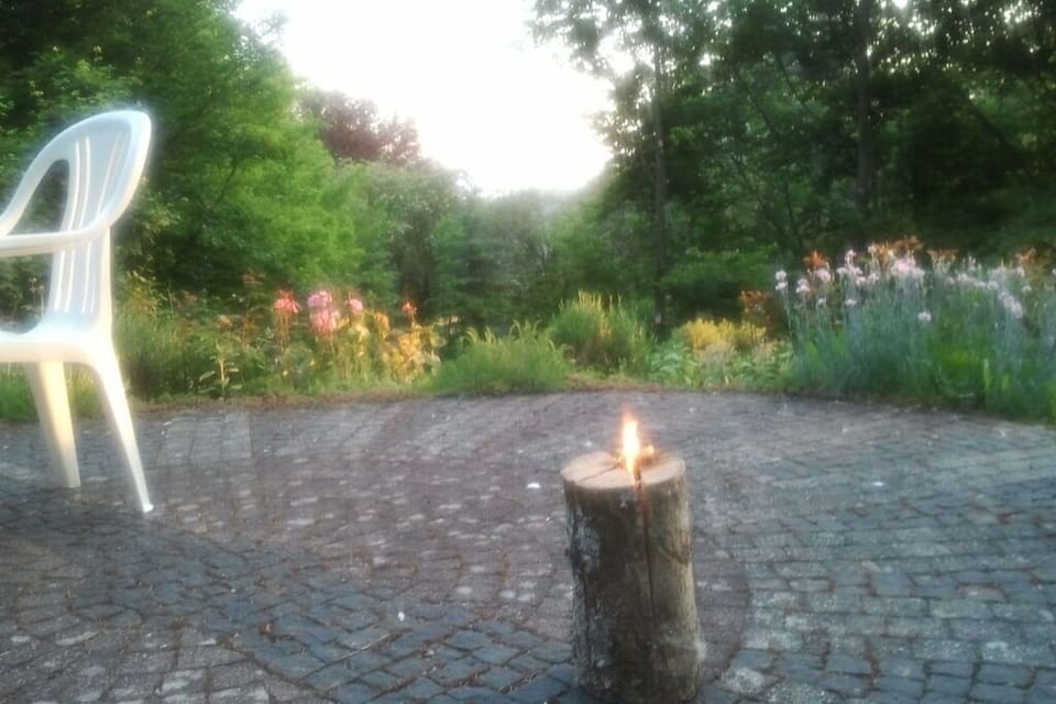 Garden [summer]
