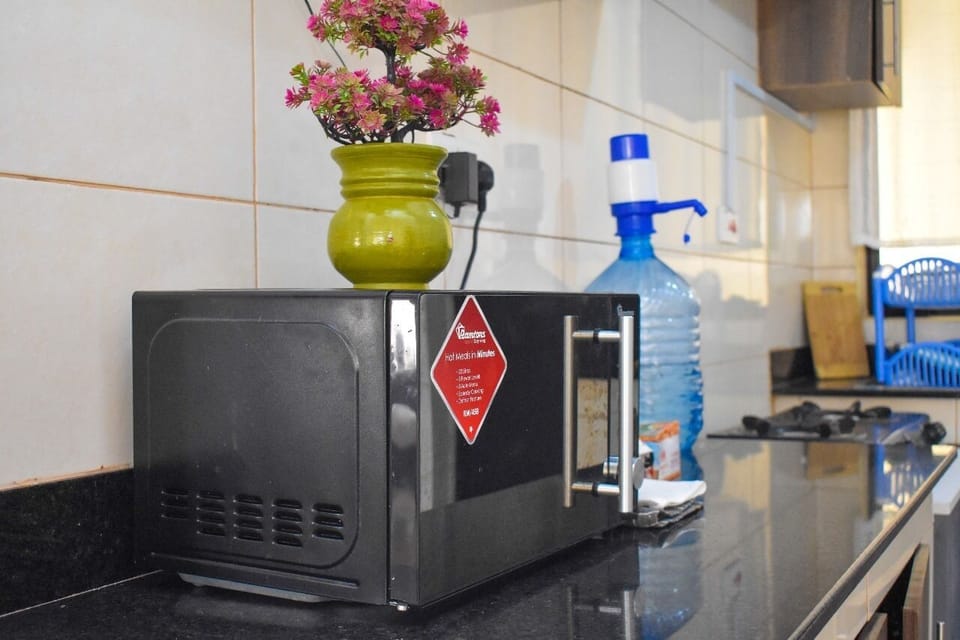 Deluxe Apartment | Private kitchen | Fridge, microwave