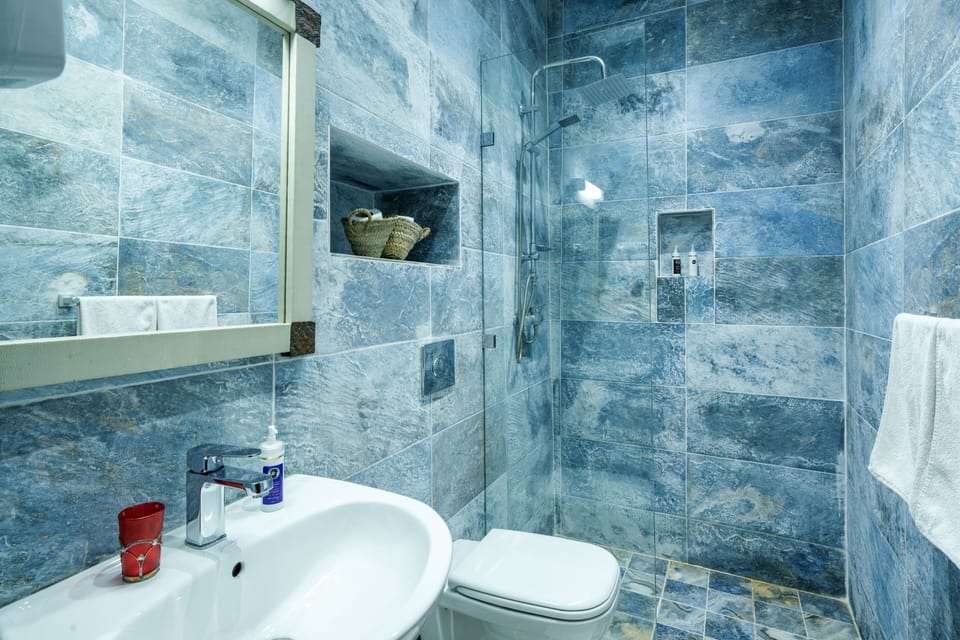 Shower, free toiletries, hair dryer, slippers