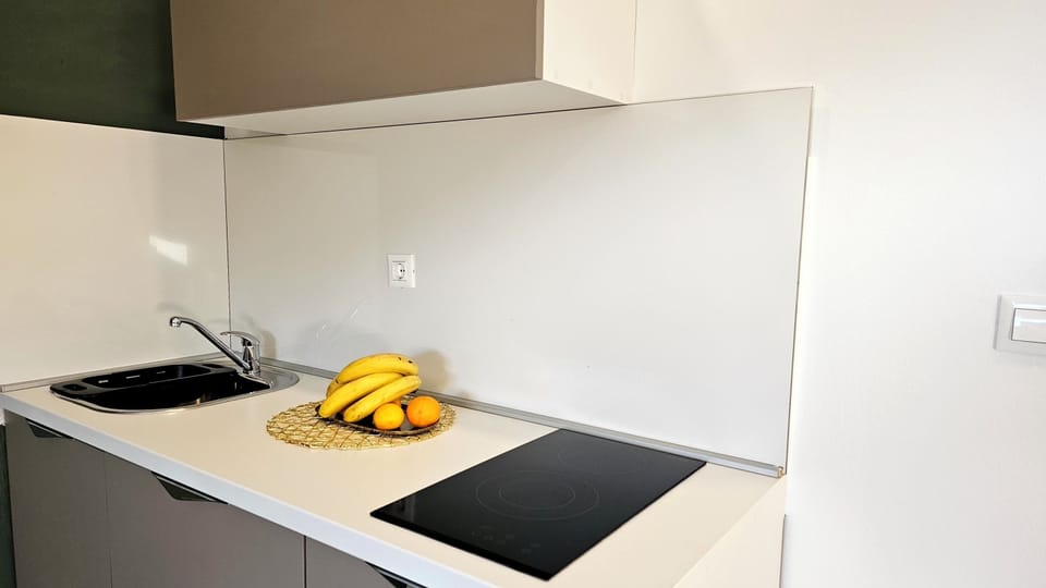 Standard Apartment, 1 Bedroom | Private kitchen | Electric kettle, toaster, cleaning supplies