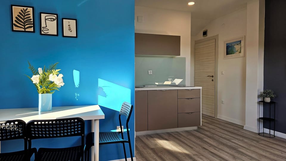 Apartment, 1 Bedroom | Private kitchen | Electric kettle, toaster, cleaning supplies