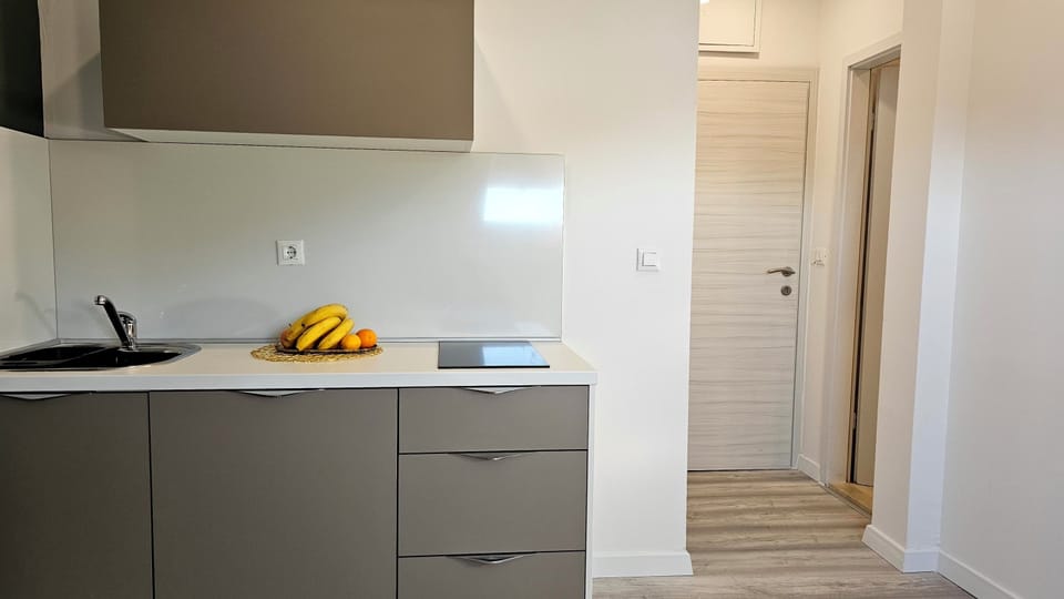 Standard Apartment, 1 Bedroom | Private kitchen | Electric kettle, toaster, cleaning supplies
