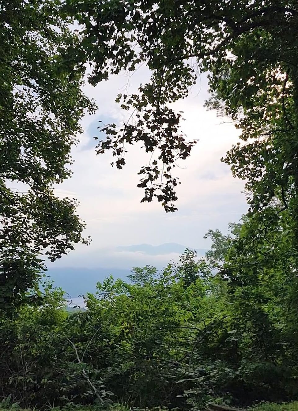 View - View