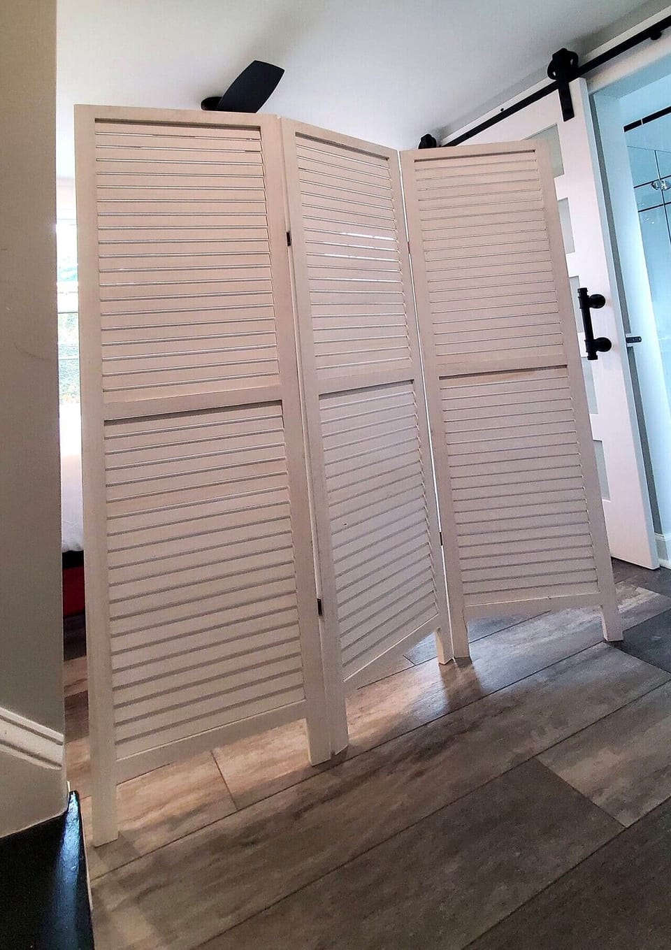 Screen between bathroom and bedroom