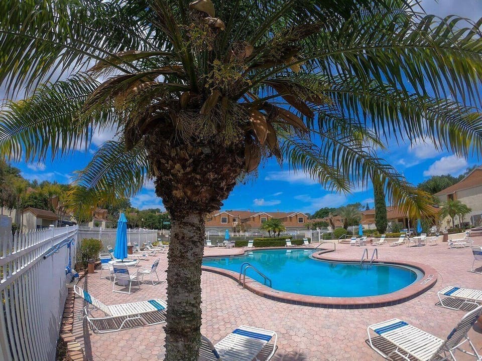 Dive into relaxation by our palm-fringed pool with all-day sun.