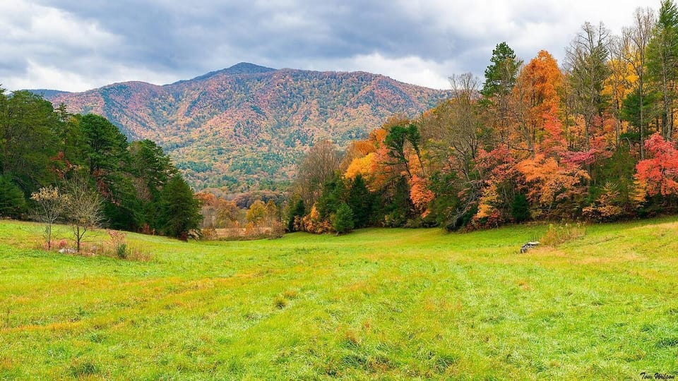 Explore Cades Cove about an hour's drive from the cabin-hike, bike or drive the loop, see the views, explore old mountain farm cabins and churches