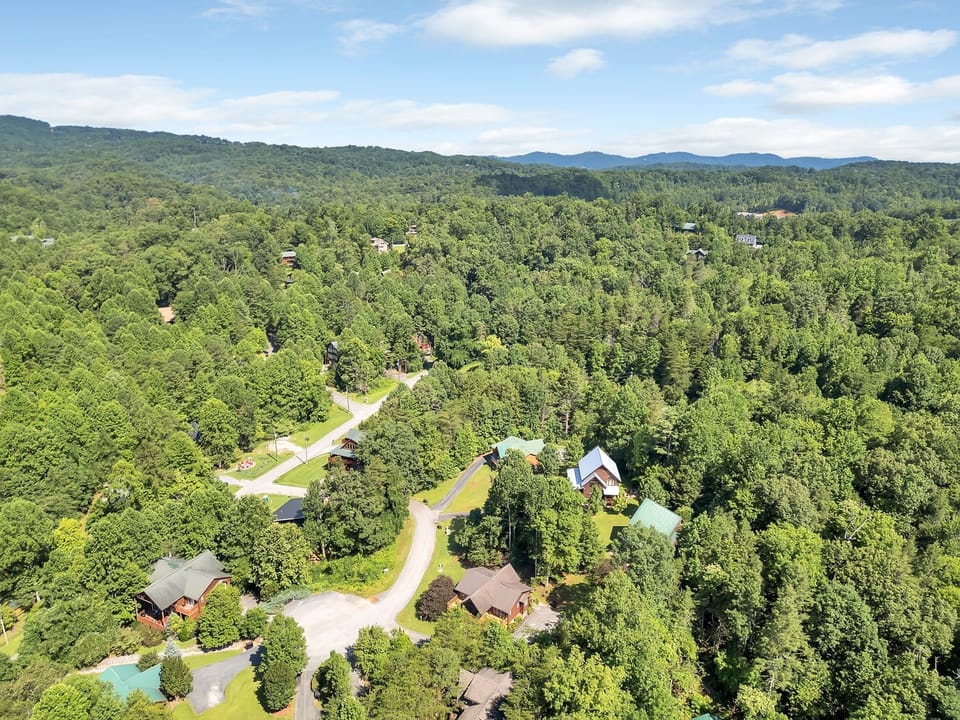 Cabin, 3 Bedrooms | Aerial view