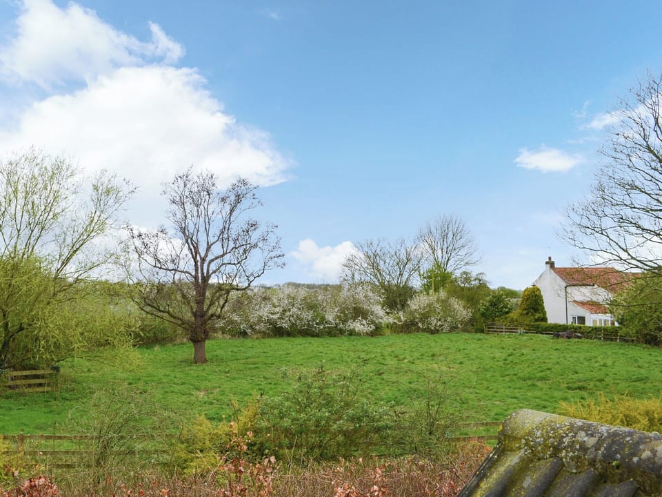 Surrounding area | Farmers Cottage, Withernsea
