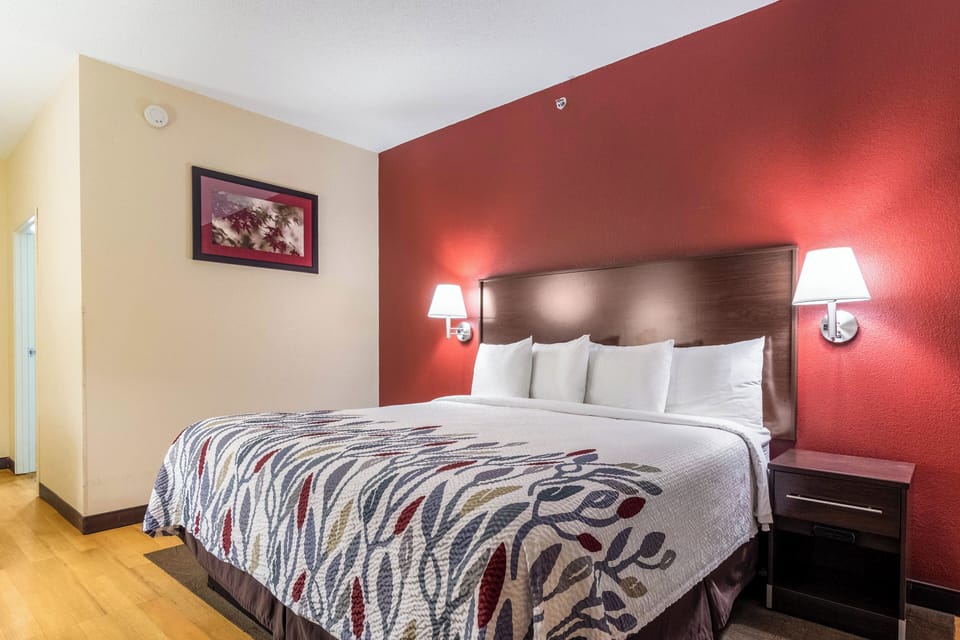Deluxe Room, 1 King Bed, Accessible, Non Smoking (Roll-In Shower) | Desk, laptop workspace, blackout drapes, iron/ironing board