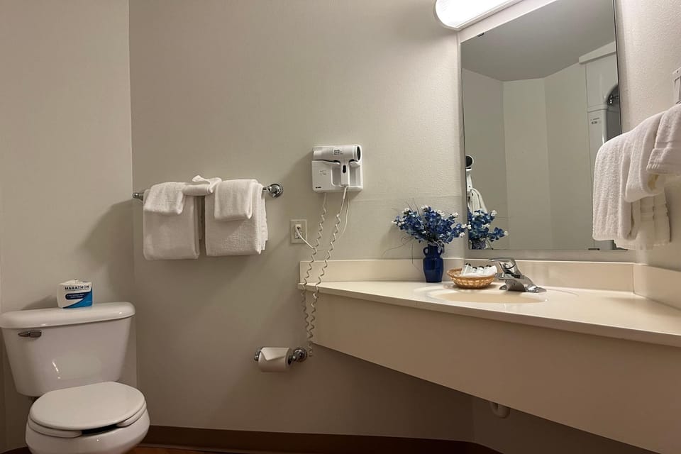 Studio Suite, Multiple Beds, Non Smoking (2 Queen Bed) | Bathroom | Combined shower/tub, free toiletries, hair dryer, towels