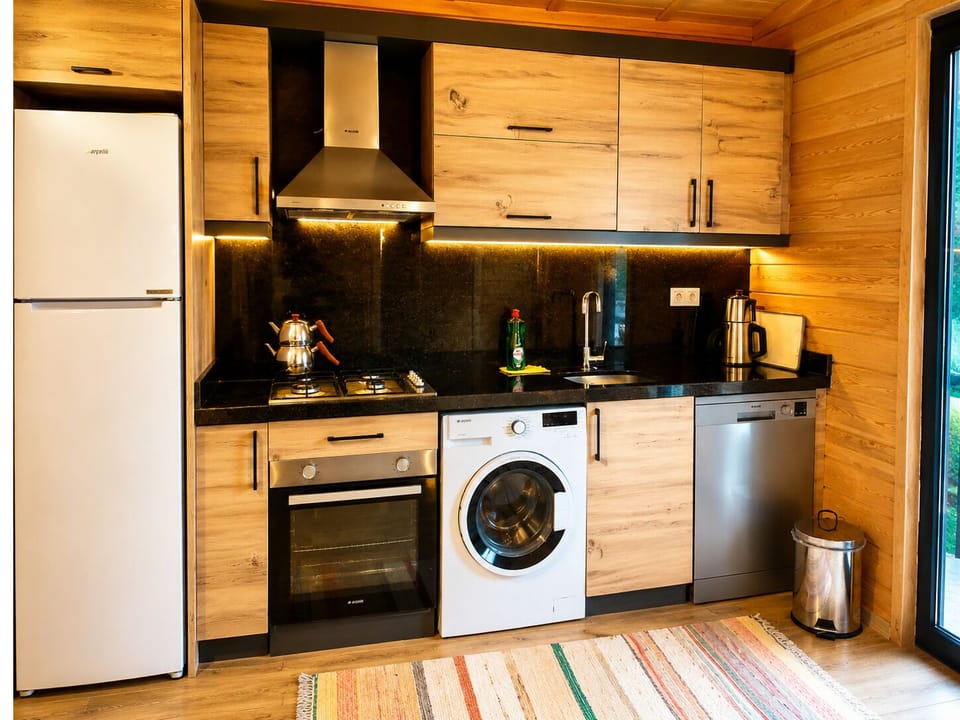 Full-size fridge, microwave, oven, dishwasher