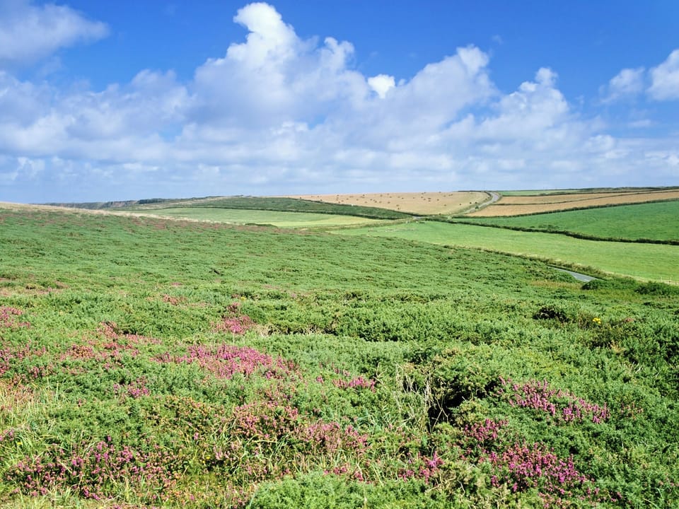 Bodmin moor