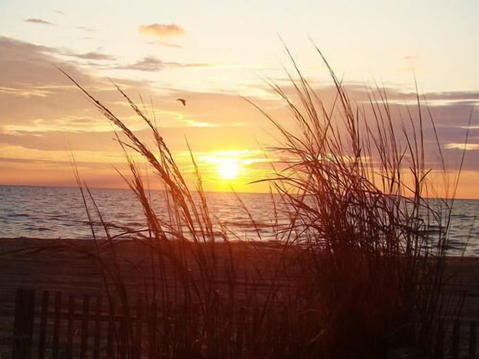 Ocean City Beach