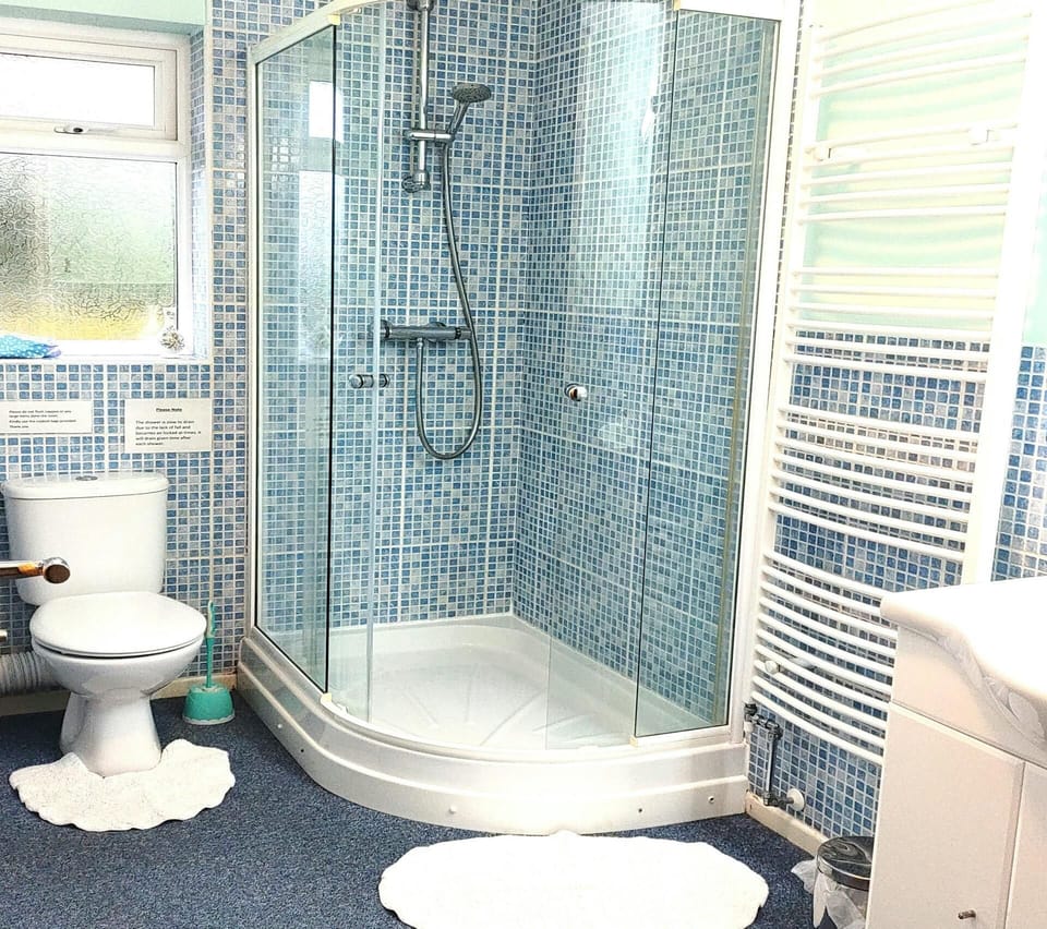 Walk-in shower, WC, heated towel rail and washbasin