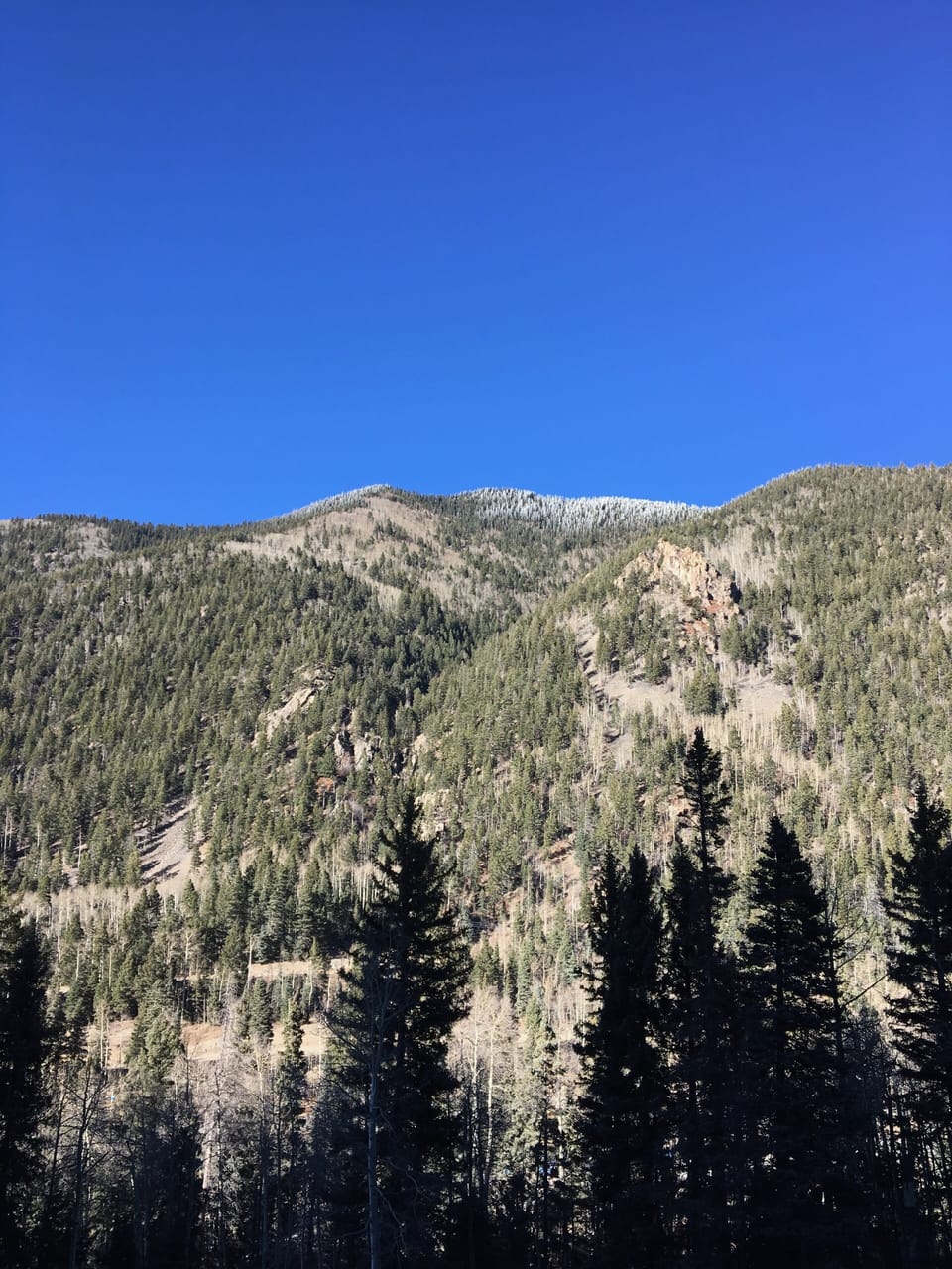 A view of Aspens on the mountains