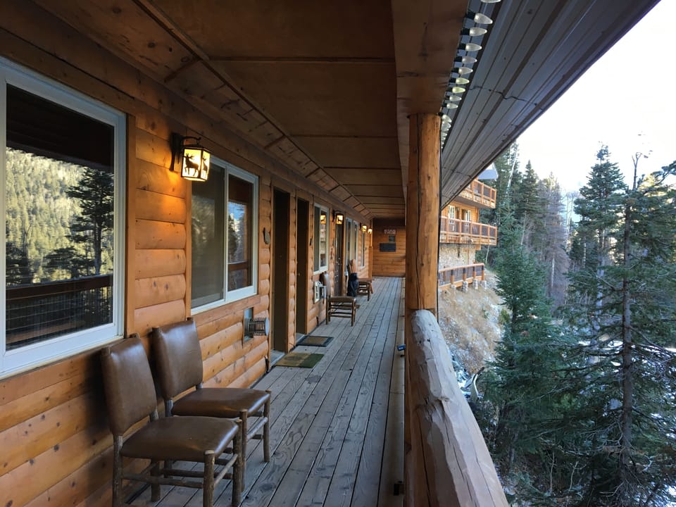 Snow Bear Porch Walkways