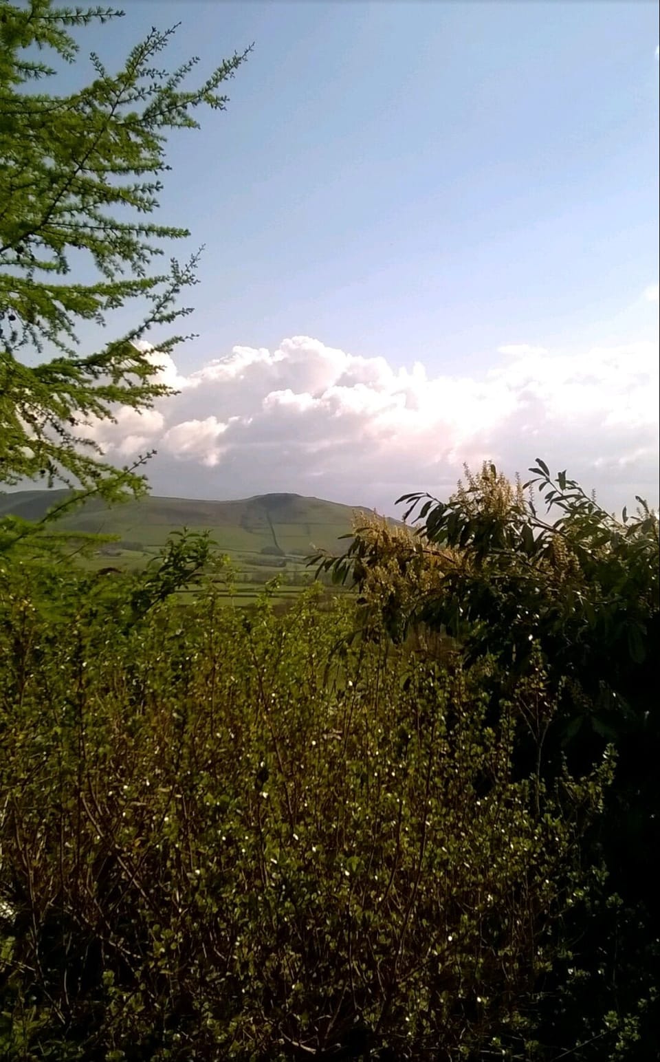 Surrounded by Stunning Woodlands