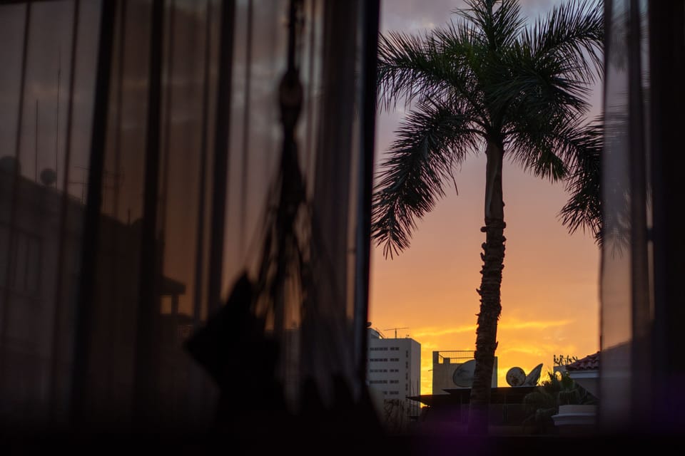 ZAMALEK 039