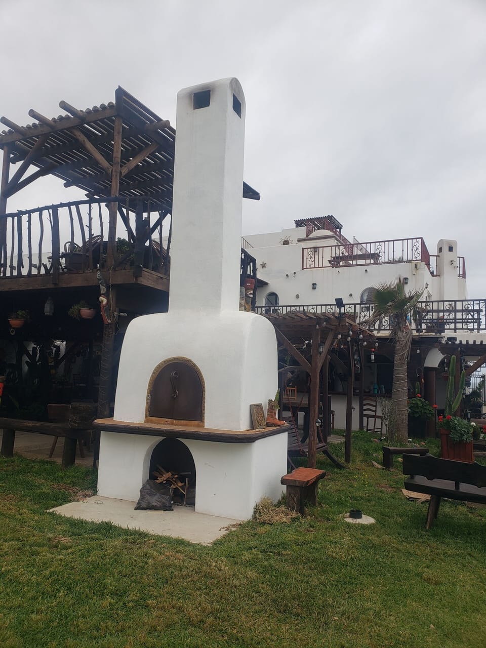 Wood fired pizza oven
