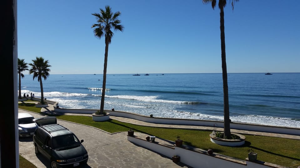 Oceanfront walks with palm trees
