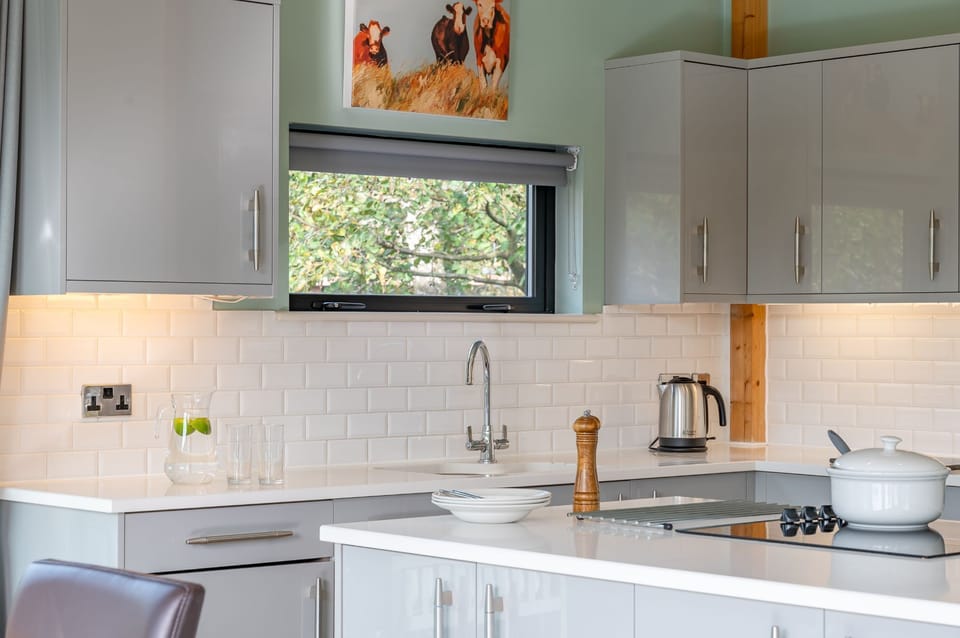 Modern kitchen with appliances and natural light in Jasper lodge.