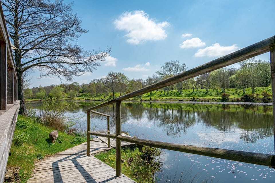 Lakeside views at Brompton Lakes, Yorkshire.