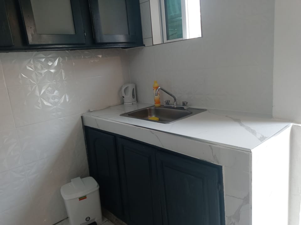 Comfort Apartment | Private kitchen | Full-size fridge, microwave, oven, electric kettle