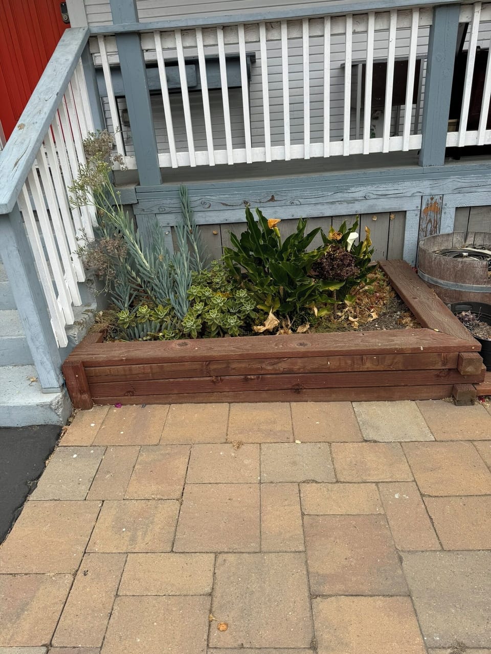 Front garden