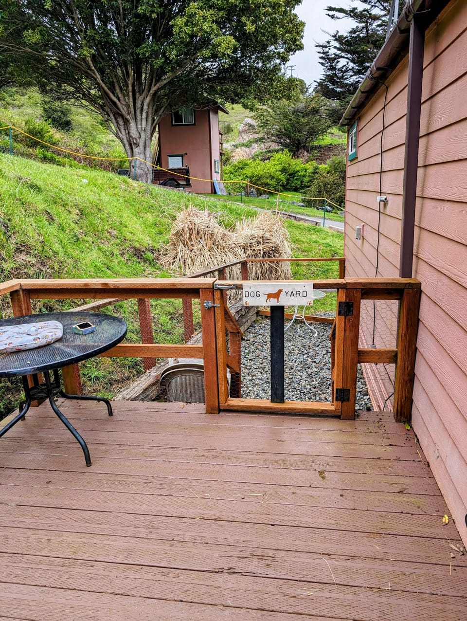 patio and dog yard 