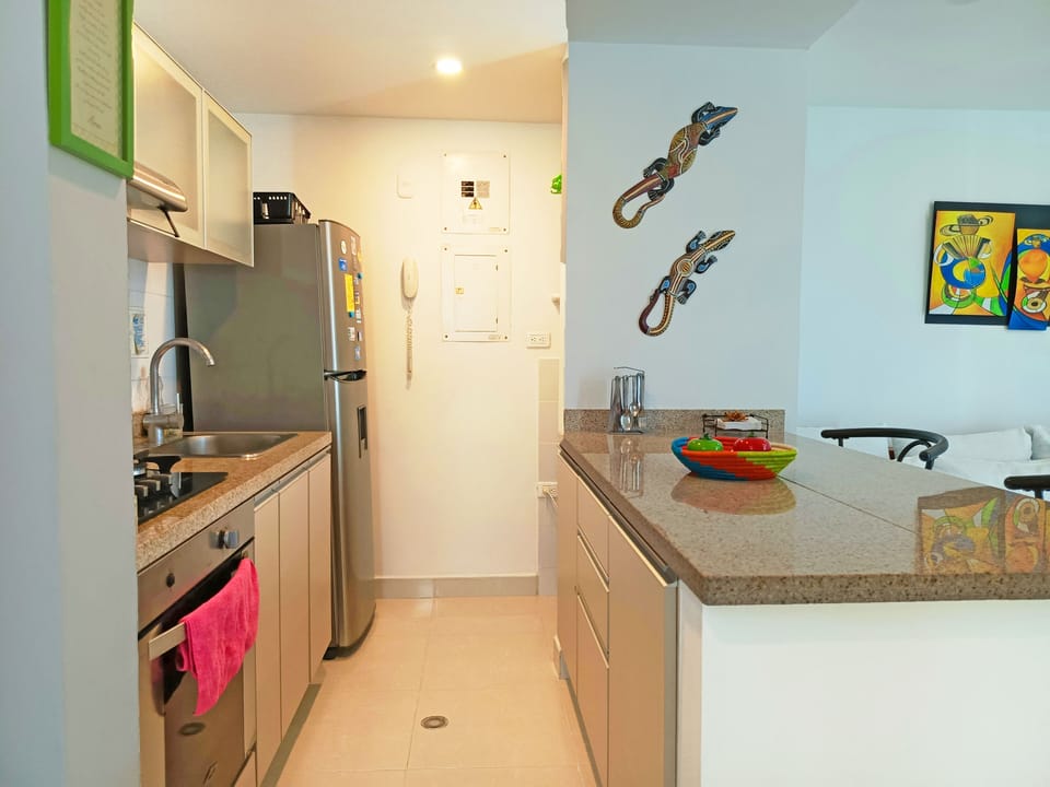 Standard Apartment, City View | Private kitchen | Full-size fridge, oven, stovetop, blender